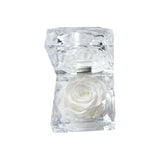 Eternal Preserved Rose Real Flower Valentine'S Birthday Anniversary Mother'S Day Acrylic Gift Box New Artificial Decorations